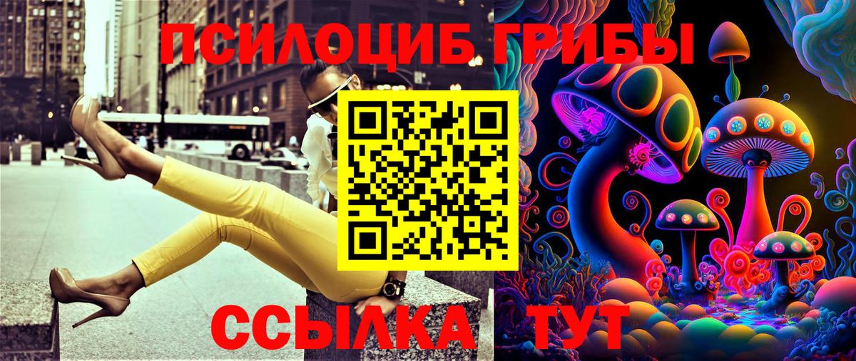 Галлюциногенные грибы Psilocybine cubensis  купить наркоту  Вход с VPN  Кольчугино  Галлюциногенные грибы Cubensis 